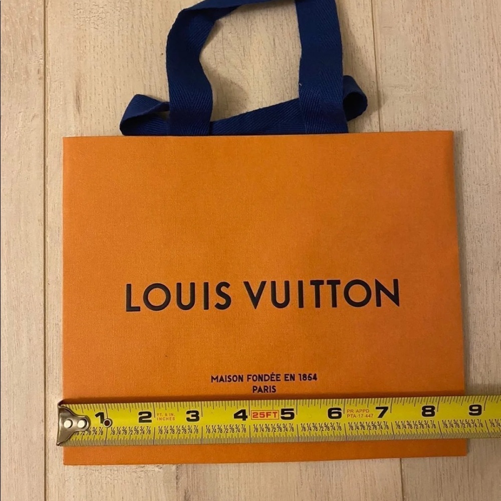 Louis Vuitton  Gift Bag
